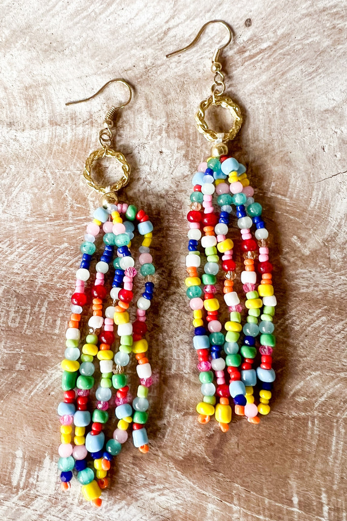 Sadie Earring in Multi