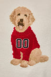 Rookie Pup Sweater