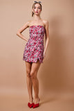 Applewood Mini Dress