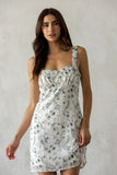 Sweet Meadow Mini Dress