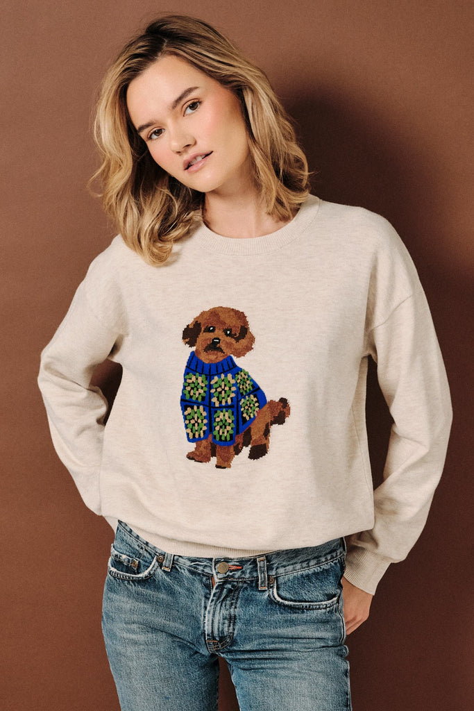 Dog Park Knit Sweater