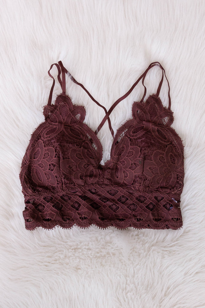 Amazing Lace Bralette in Chocolate